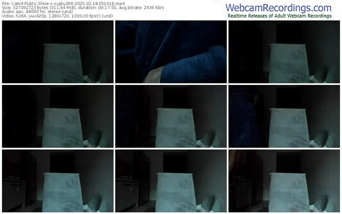 2025/02/18/cam4-cuplu299-05-16-18