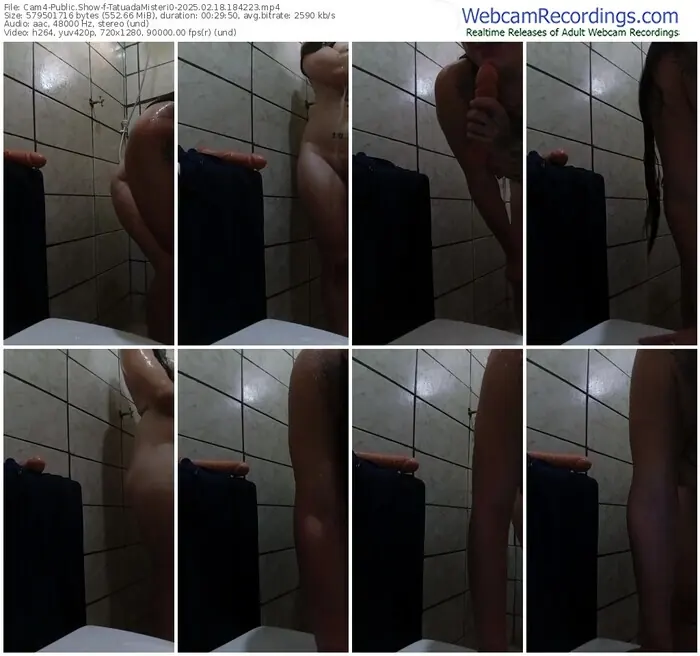 2025/02/18/cam4-tatuadamisteri0-18-42-23