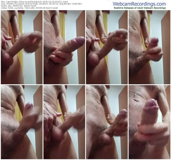 2025/02/18/cam4-perfectdick21-20-22-11