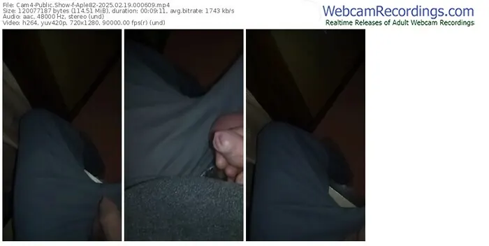 2025/02/19/cam4-aple82-00-06-09