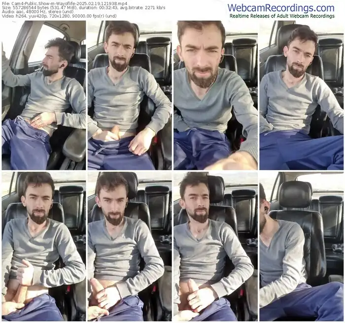 2025/02/19/cam4-wayoflife-12-19-38