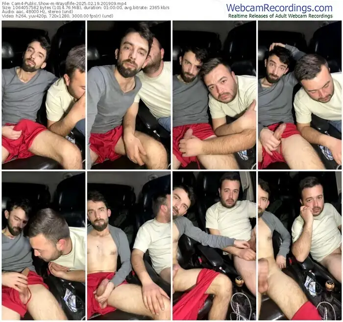 2025/02/19/cam4-wayoflife-20-19-09