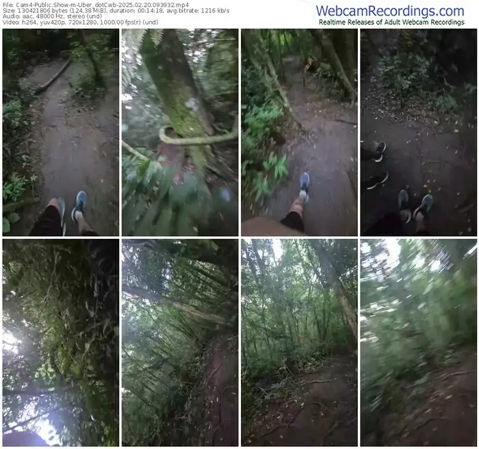 2025/02/20/cam4-uber_dotcwb-09-39-32