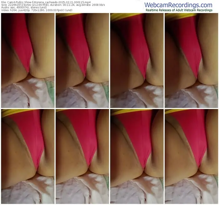 2025/02/21/cam4-morena_cacheado-00-01-15