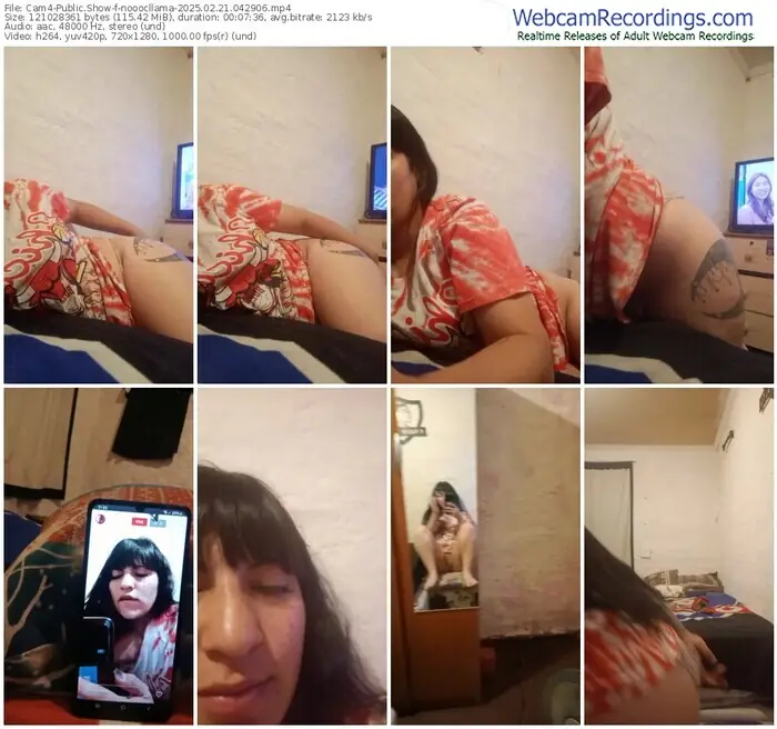 2025/02/21/cam4-nooocllama-04-29-06