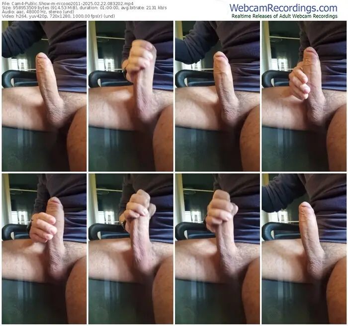 2025/02/22/cam4-nicooo2011-08-32-02