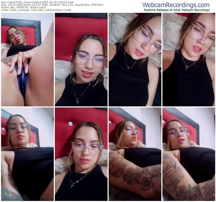 2025/02/25/cam4-agat4-23-55-10