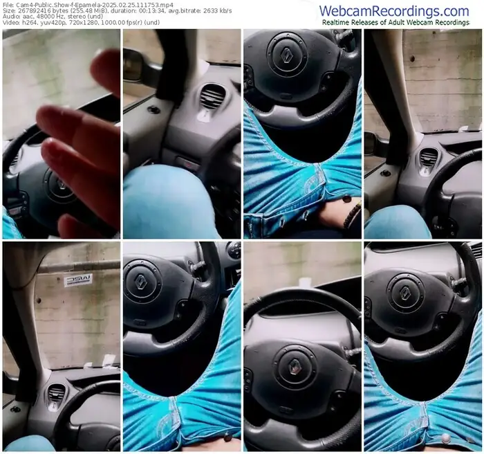 2025/02/25/cam4-epamela-11-17-53