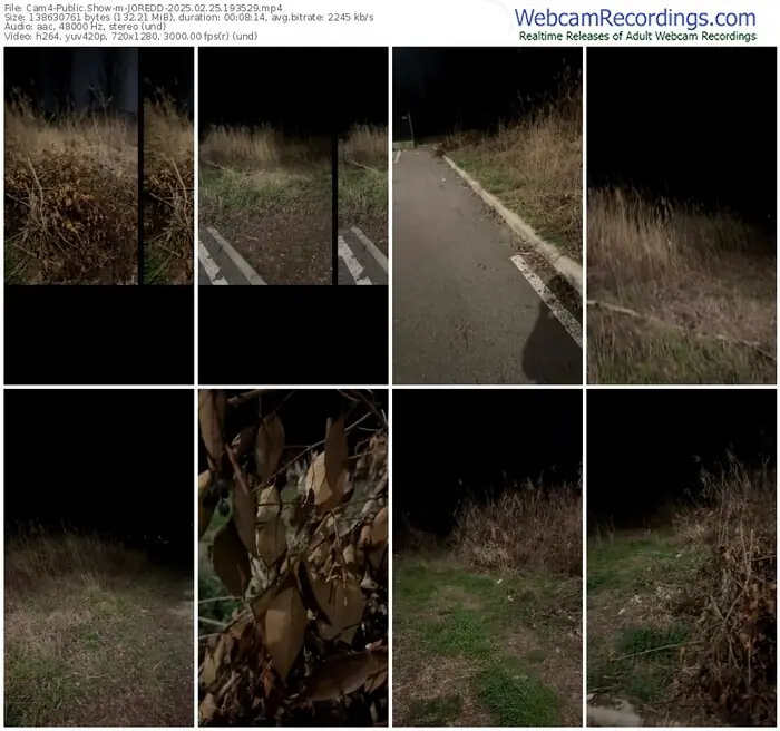 2025/02/25/cam4-joredd-19-35-29