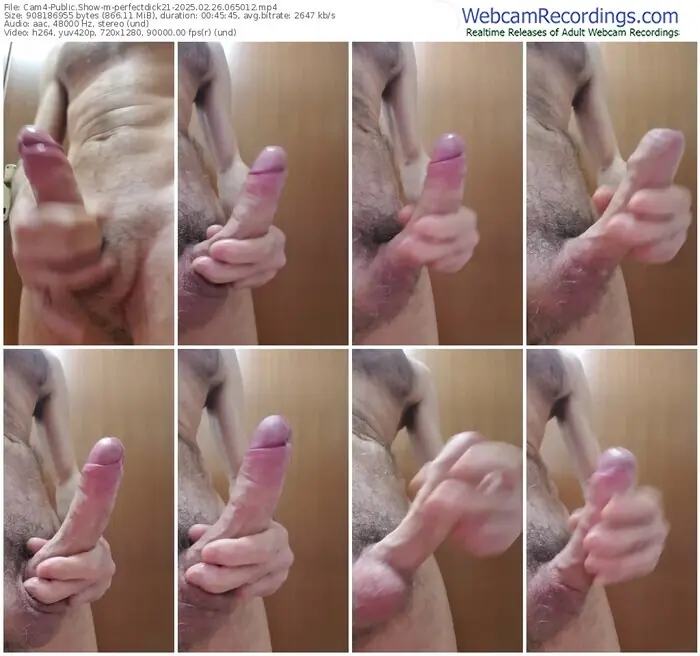 2025/02/26/cam4-perfectdick21-06-50-12