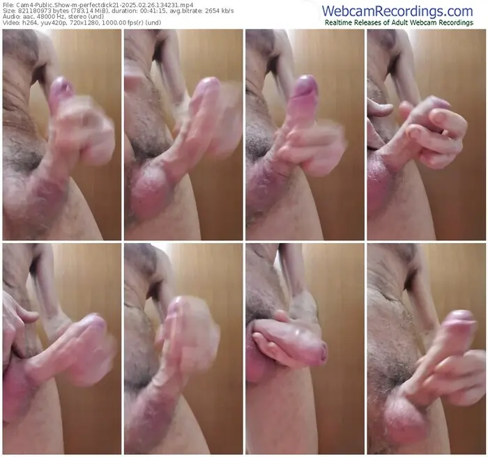 2025/02/26/cam4-perfectdick21-13-42-31