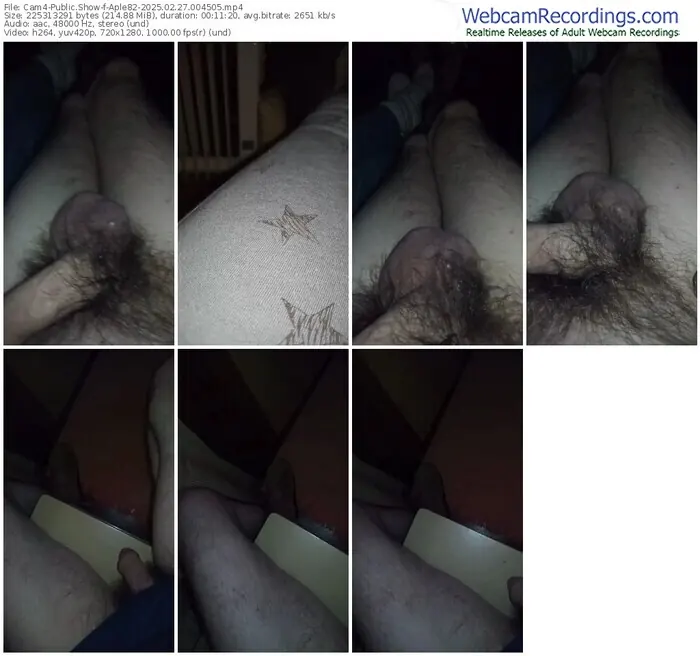 2025/02/27/cam4-aple82-00-45-05