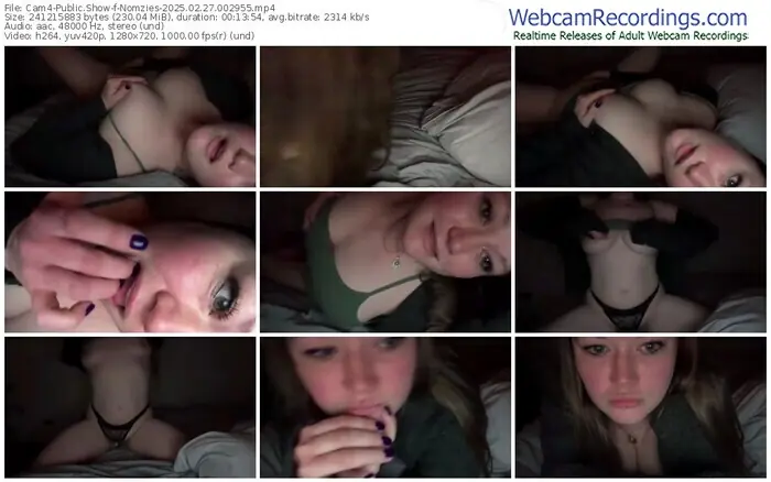 2025/02/27/cam4-nomzies-00-29-55