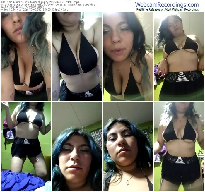 2025/02/27/cam4-virtual_puppy-02-37-06