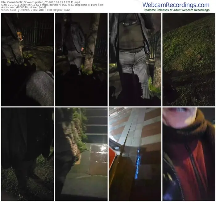 2025/02/27/cam4-pollen_07-19-28-41
