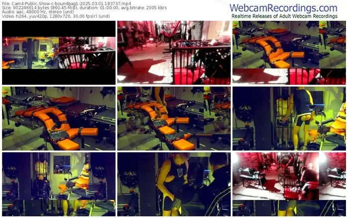 2025/03/01/cam4-boundgag1-18-37-37