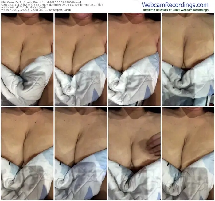 2025/03/01/cam4-brunedusud-22-03-30