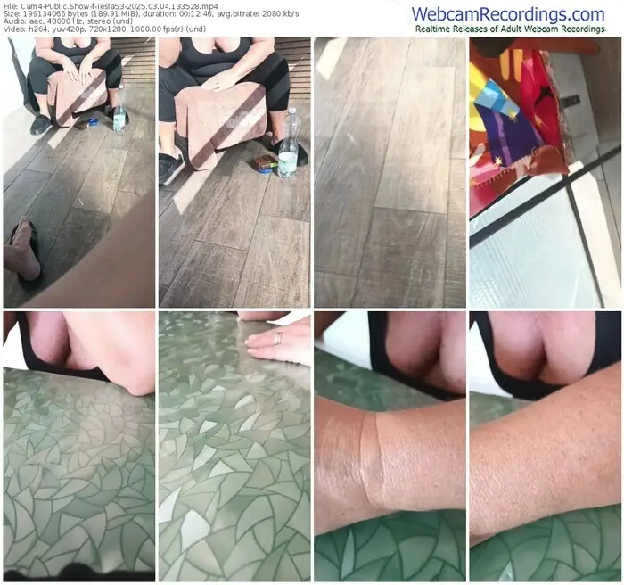 2025/03/04/cam4-tesla53-13-35-28