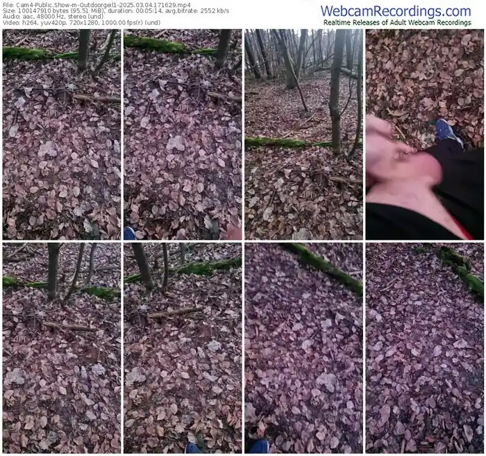 2025/03/04/cam4-outdoorgeil1-17-16-29