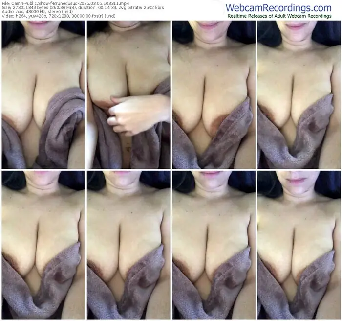 2025/03/05/cam4-brunedusud-10-33-11