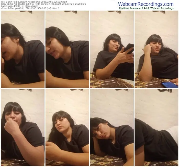 2025/03/06/cam4-nooocllama-02-59-03