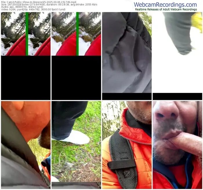 2025/03/06/cam4-likescock5-15-17-49