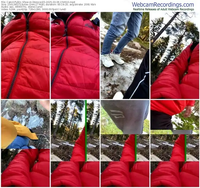 2025/03/06/cam4-likescock5-15-46-10