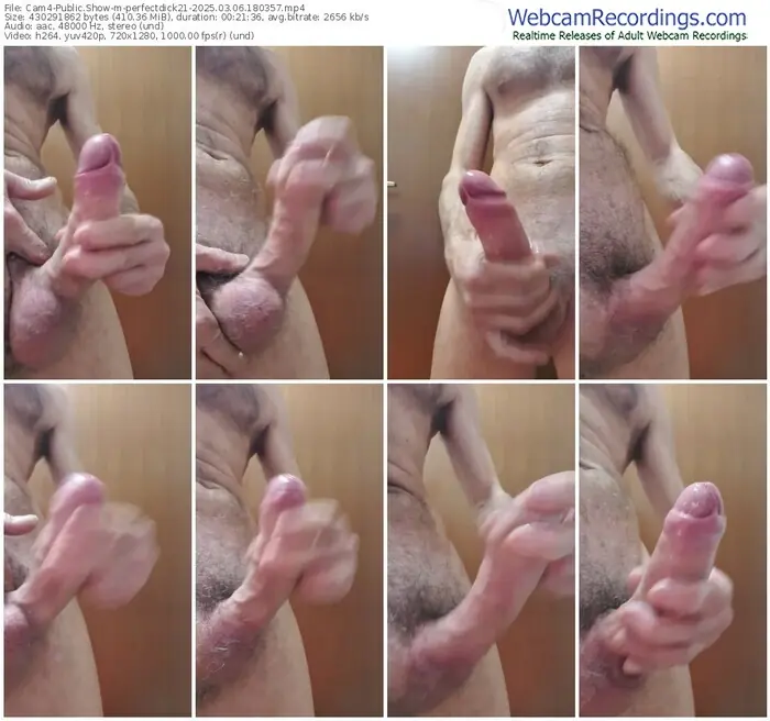 2025/03/06/cam4-perfectdick21-18-03-57