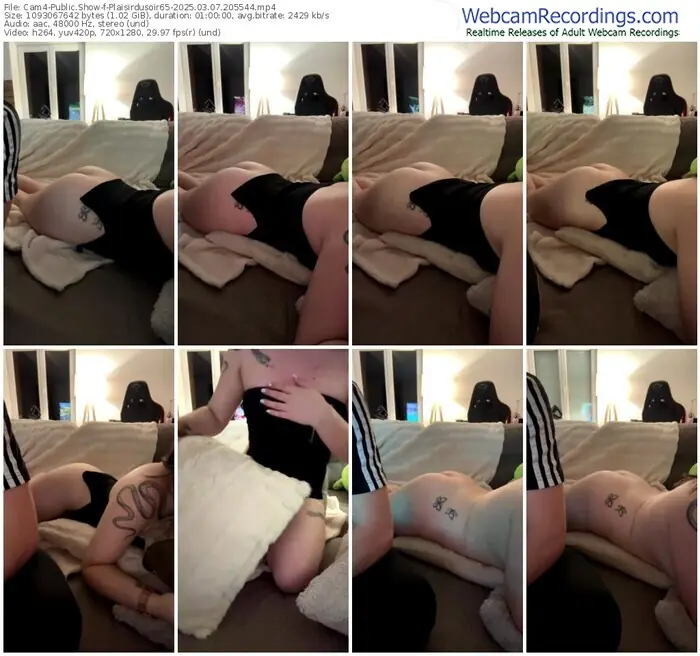 2025/03/07/cam4-plaisirdusoir65-20-55-44