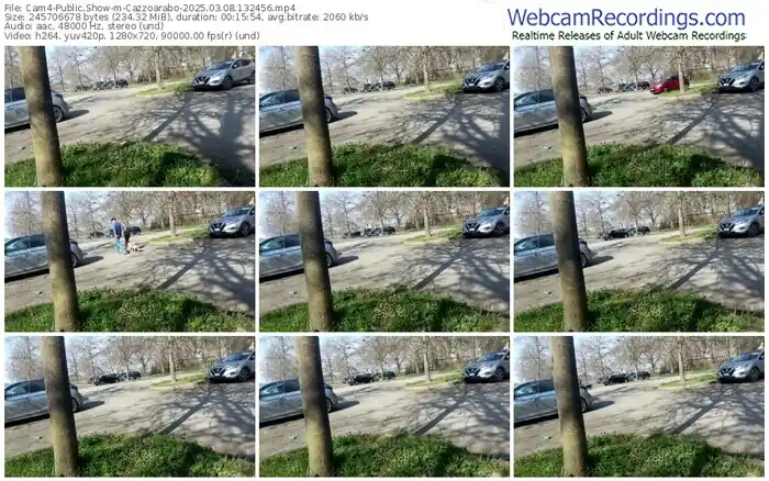 2025/03/08/cam4-cazzoarabo-13-24-56