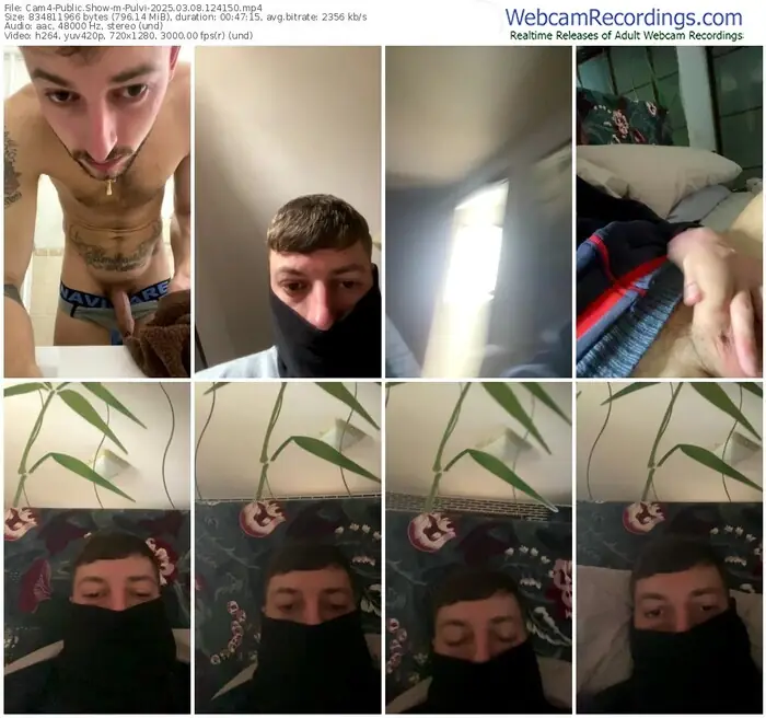 2025/03/08/cam4-pulvi-12-41-50