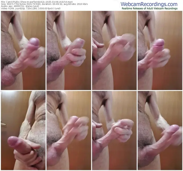 2025/03/08/cam4-perfectdick21-16-31-54