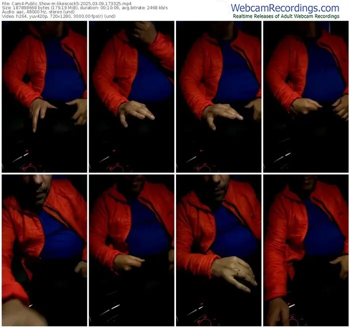 2025/03/09/cam4-likescock5-17-33-25