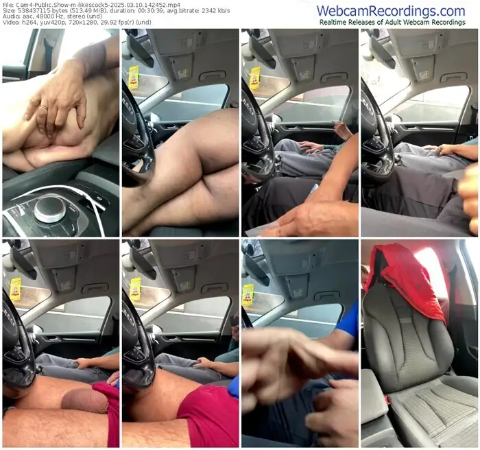 2025/03/10/cam4-likescock5-14-24-52