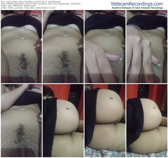 2025/03/11/cam4-tinkerlun-02-56-28