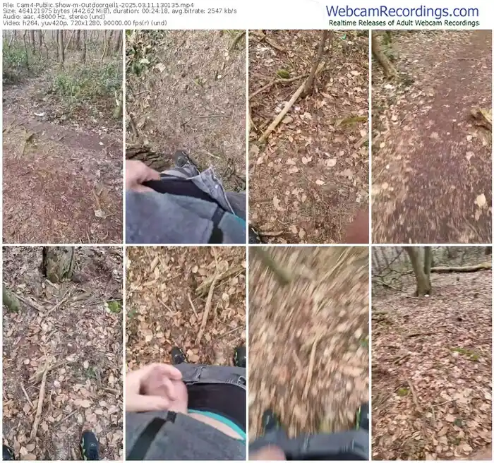 2025/03/11/cam4-outdoorgeil1-13-01-35