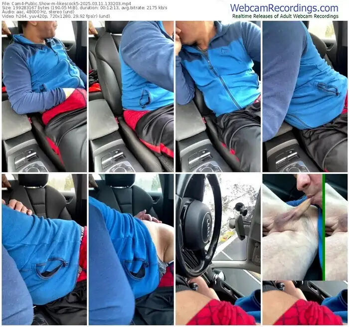 2025/03/11/cam4-likescock5-13-32-03