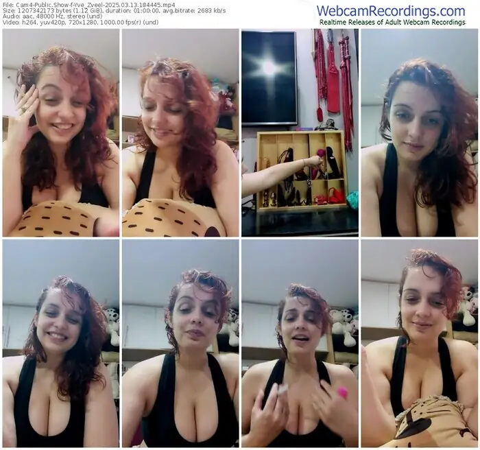 2025/03/13/cam4-yve_zveel-18-44-45