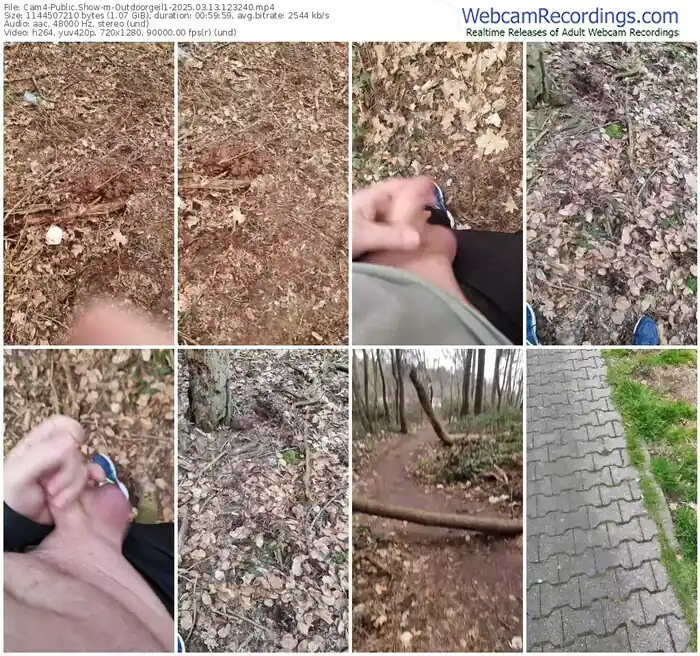 2025/03/13/cam4-outdoorgeil1-12-32-40