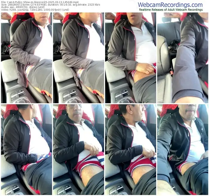 2025/03/13/cam4-likescock5-14-56-49