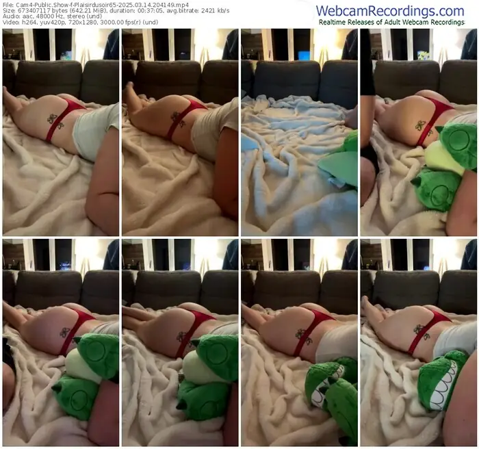 2025/03/14/cam4-plaisirdusoir65-20-41-49
