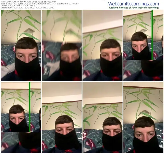 2025/03/15/cam4-pulvi-15-30-23