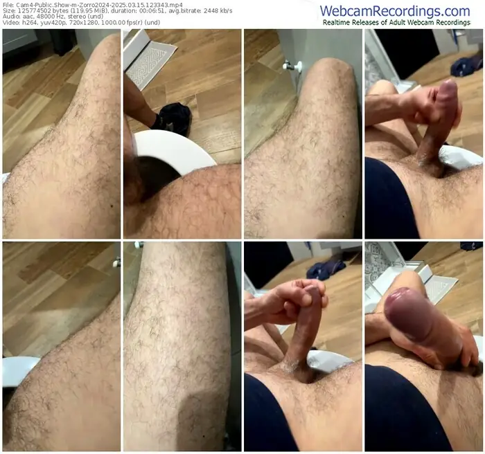 2025/03/15/cam4-zorro2024-12-33-43