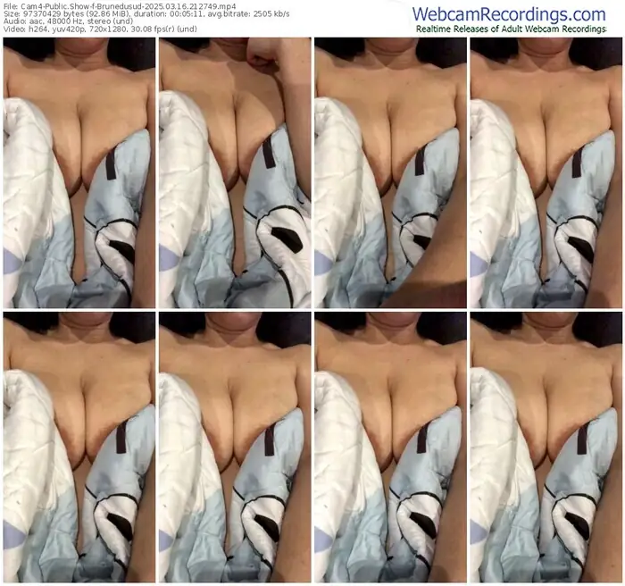 2025/03/16/cam4-brunedusud-21-27-49