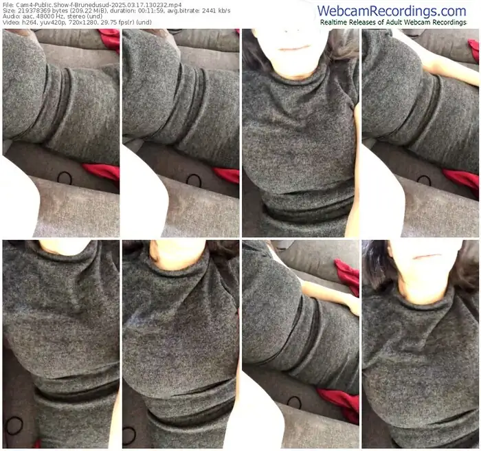 2025/03/17/cam4-brunedusud-13-02-32