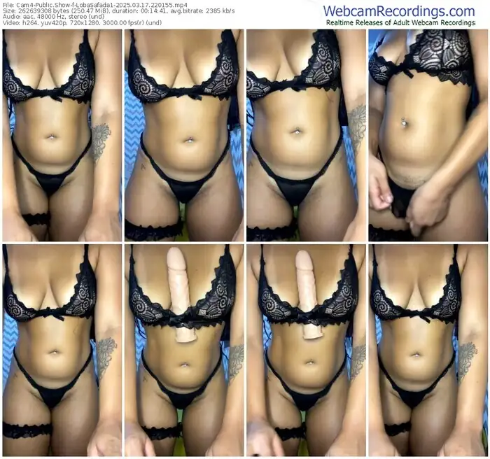 2025/03/17/cam4-lobasafada1-22-01-55