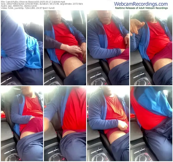 2025/03/17/cam4-likescock5-14-26-44