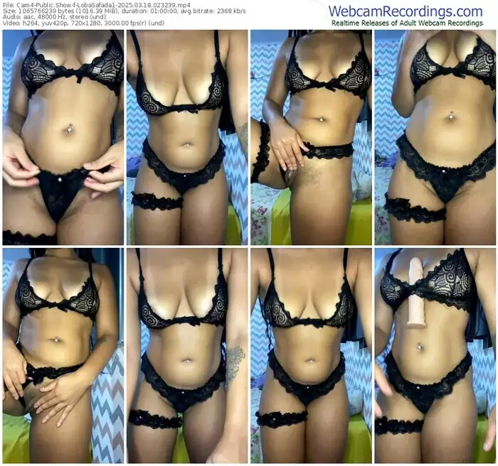 2025/03/18/cam4-lobasafada1-02-32-39