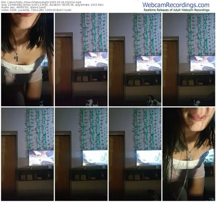 2025/03/18/cam4-pammela00-03-22-14