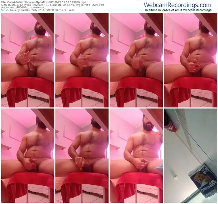 2025/03/18/cam4-alphabrasil87-12-38-50